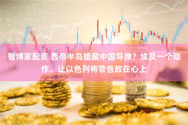 智博家配资 西奈半岛暗藏中国导弹？埃及一个动作，让以色列将警告放在心上