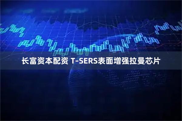 长富资本配资 T-SERS表面增强拉曼芯片