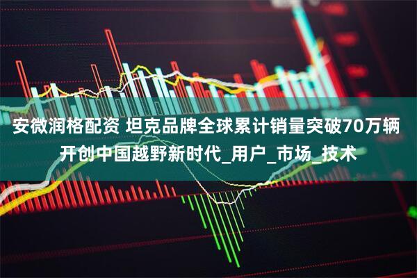 安微润格配资 坦克品牌全球累计销量突破70万辆 开创中国越野新时代_用户_市场_技术