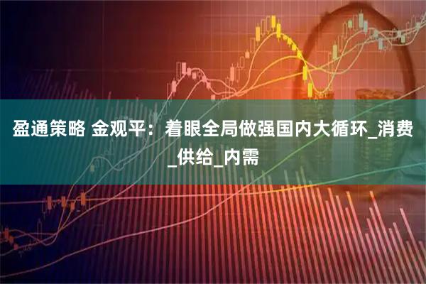 盈通策略 金观平：着眼全局做强国内大循环_消费_供给_内需