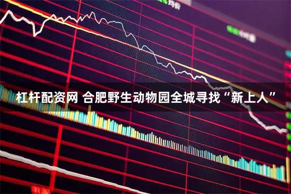 杠杆配资网 合肥野生动物园全城寻找“新上人”